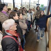 Agencias de azafatas y Guías turísticos